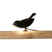 scheda-tecnica-chirp-1270